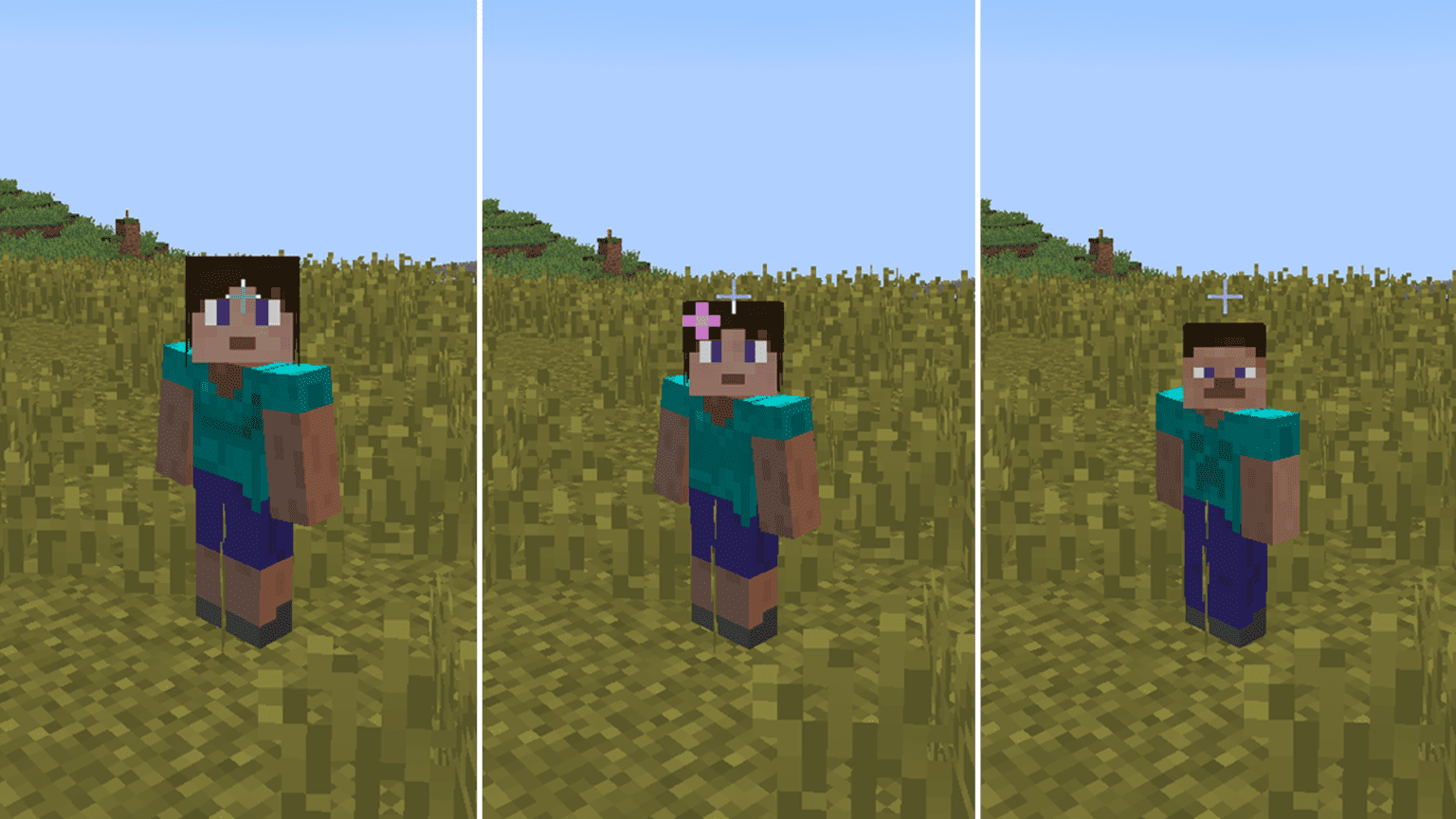 Gender minecraft mod