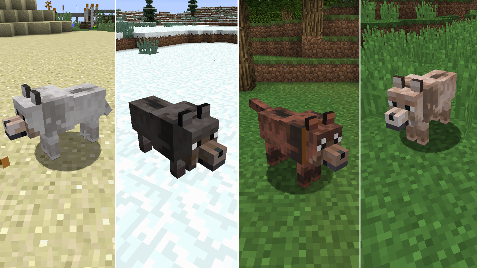 Minecraft More Wolves 12 Different Types Of Pet Wolves Mod Showcase ...