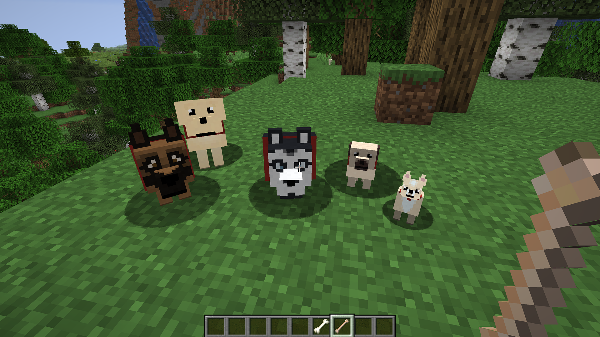 more-dogs-1-15-2-minecraft-mod-download